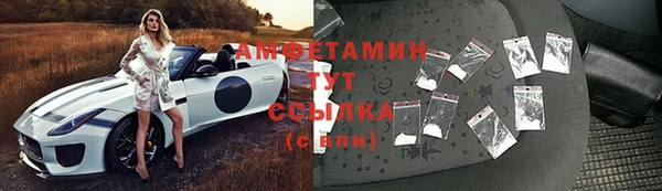 прущие грибы Анива